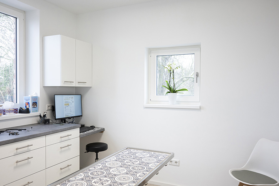 dsc8556 kopie dsc8556 kopie