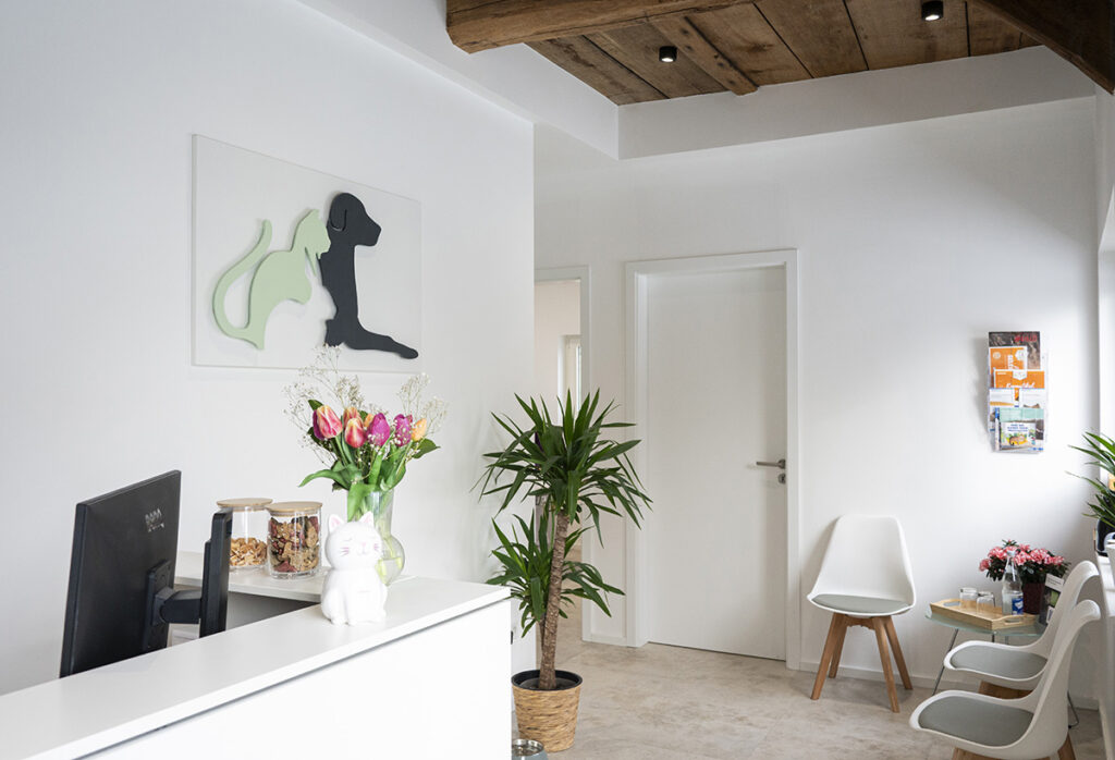 dsc8571 kopie dsc8571 kopie