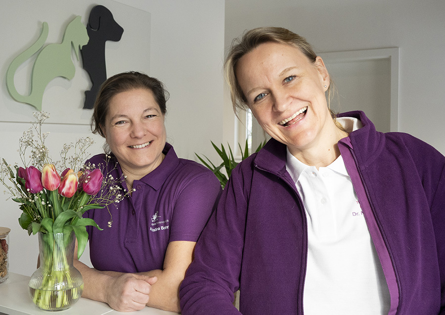 dsc8637 kopie dsc8637 kopie